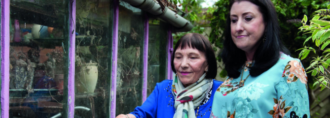 Vyhled do budoucnosti