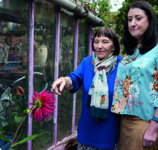 Vyhled do budoucnosti