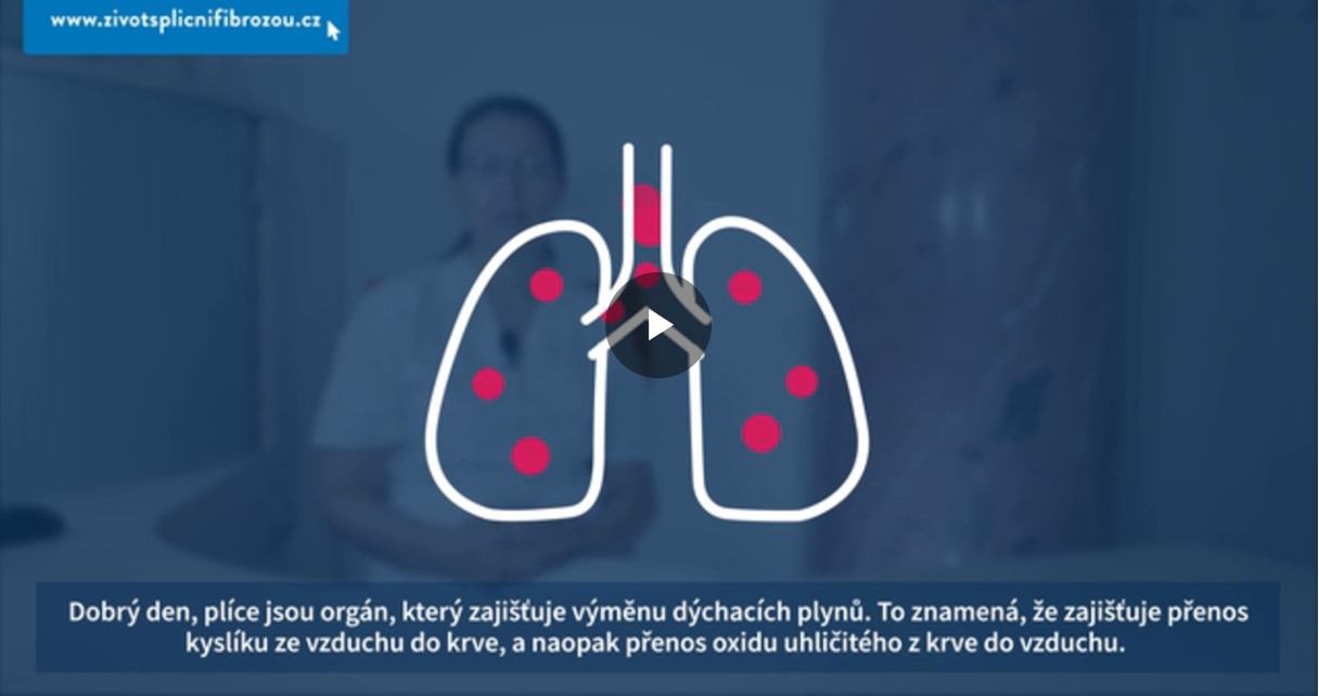 video-jak-funguji-plice