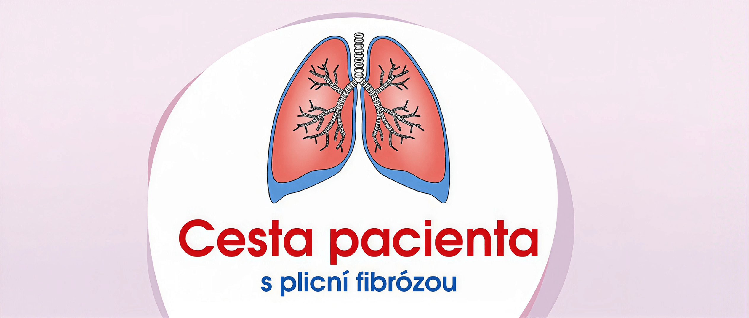 Cesta pacienta